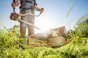 Bildnachweis: iStock (Bilder sind nur im redaktionellen Zusammenhang mit TOP-Immobilien GmbH verwendbar.)