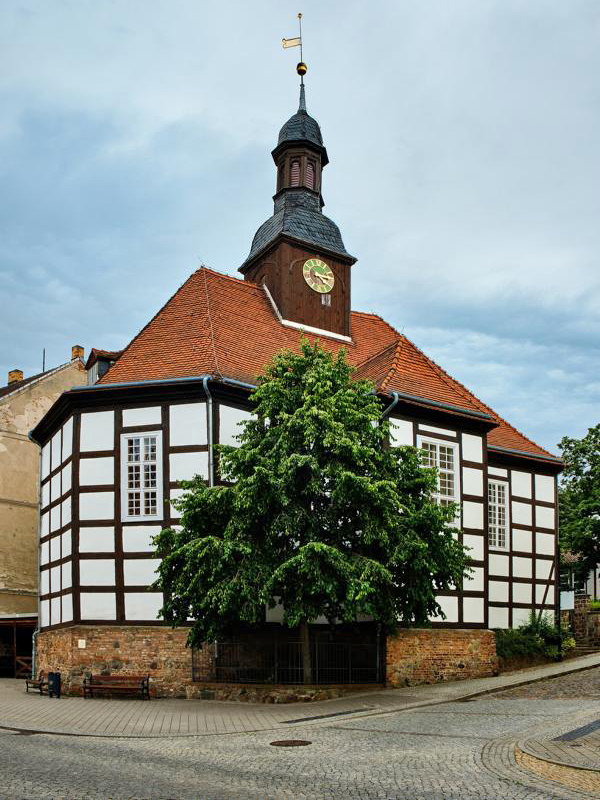 Makler für Bad Freienwalde