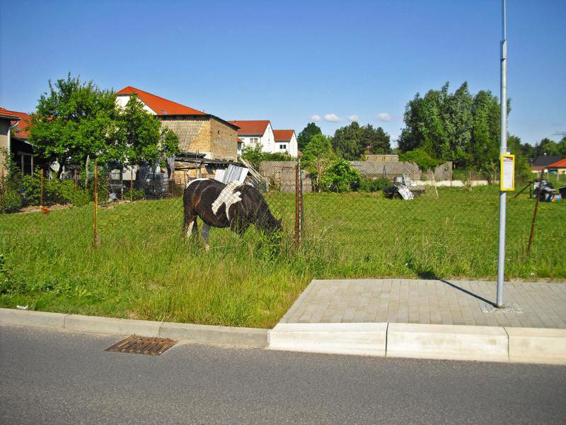 Makler für Birkenwerder