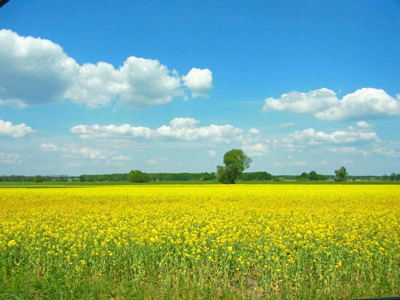 Natur Blankenfelde-Mahlow