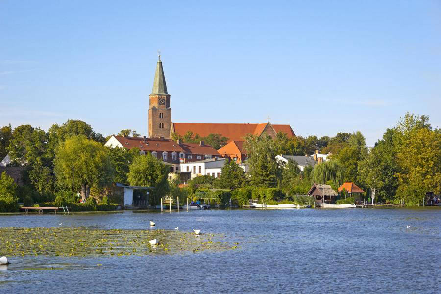 Immobilien Makler Brandenburg