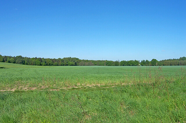 Immobilienmakler für Fredersdorf-Vogelsdorf