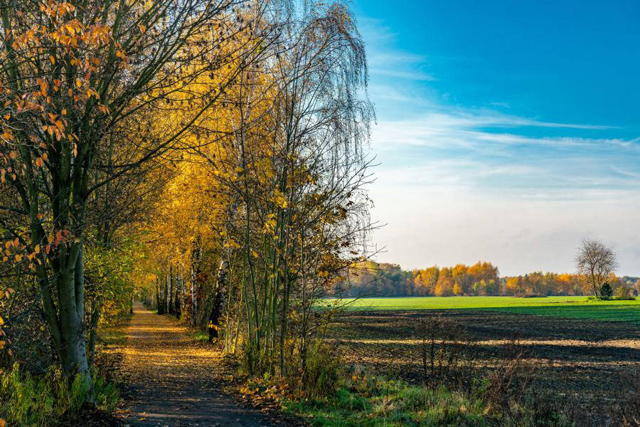 Grundstücke in Berlin-Frohnau