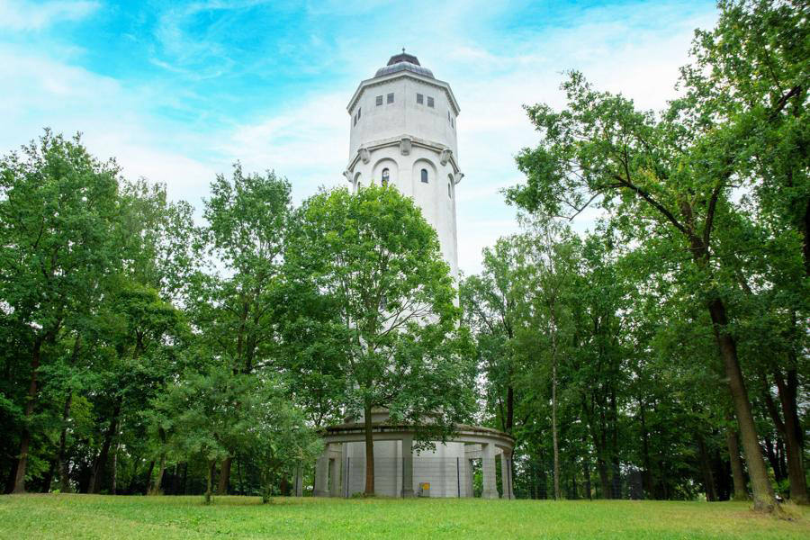 Makler Hohen Neuendorf