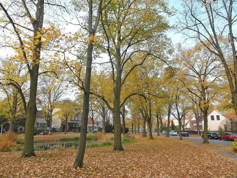 Park in Marienfelde