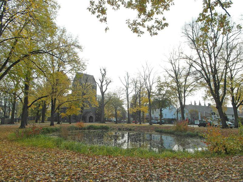 Teich im Park Marienfelde
