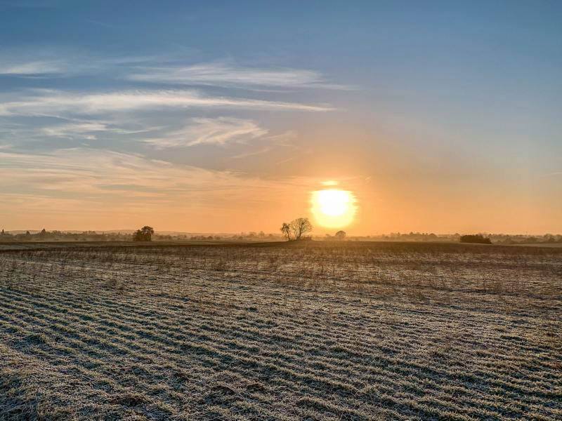 Grundstücke Müncheberg