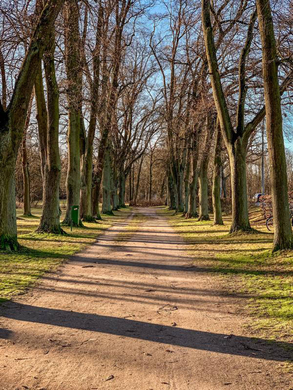 Grundstücke am Wald Müncheberg