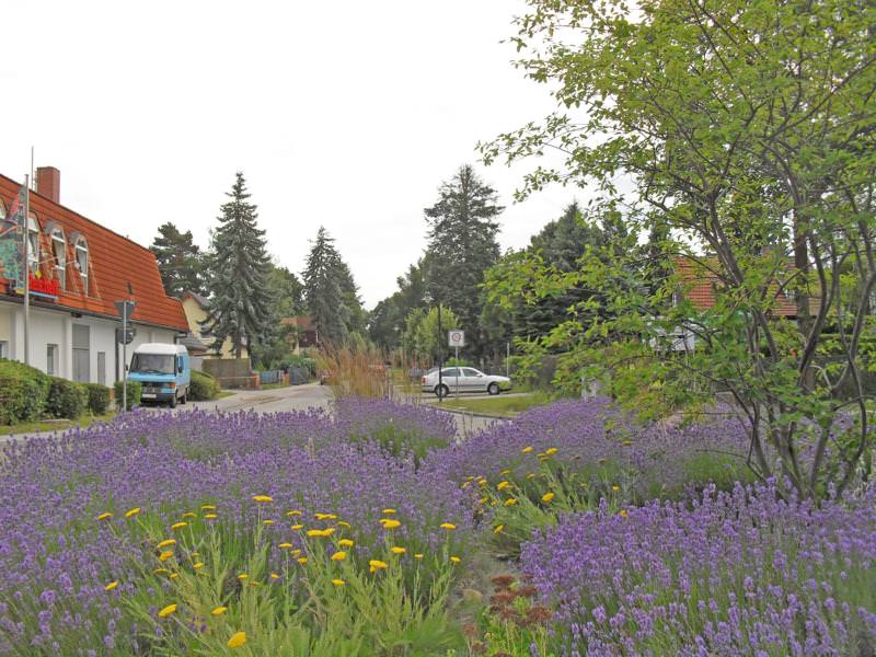 Haus mieten Petershagen/Eggersdorf