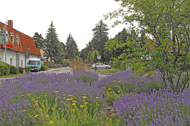 Immobilien Petershagen/Eggersdorf