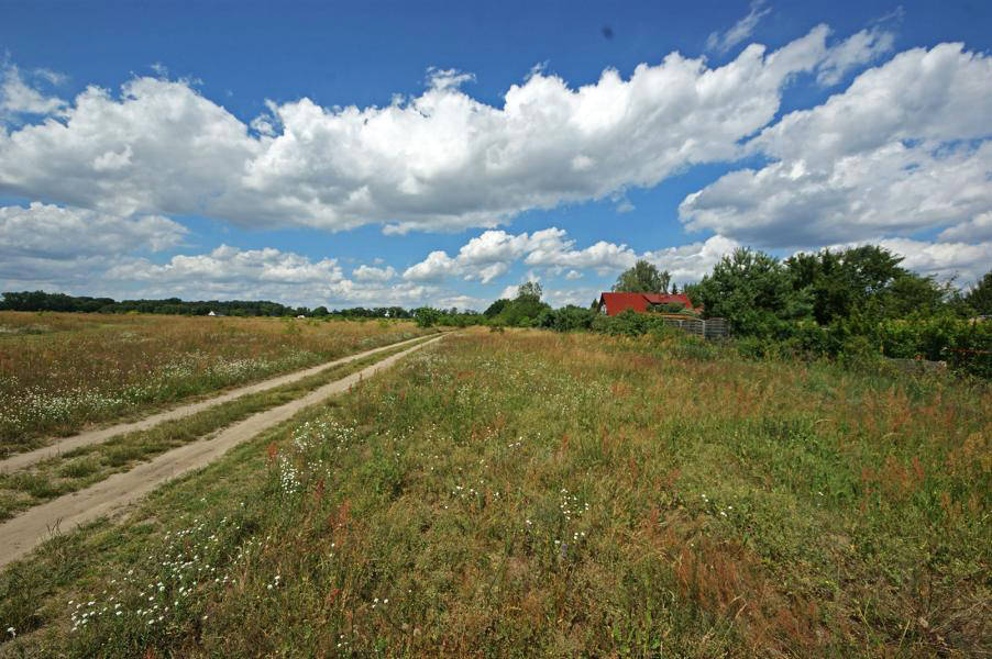 Immobilien mit Makler Schulzendorf