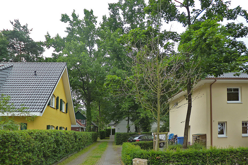 Haus kaufen Stahnsdorf