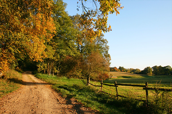 Wanderweg in Strausberg